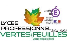 Logo Lycee Pro Vertes Feuilles Saint AndrÃ©