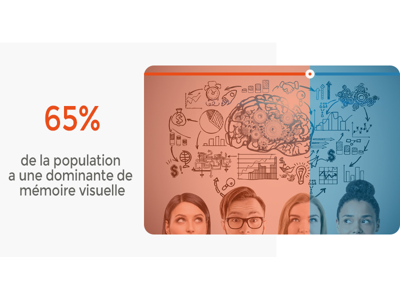 65% de la population a une domintante de mémoire visuelle