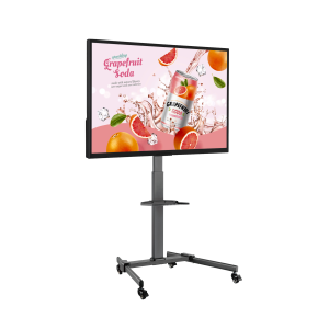 Ecran Support sur pied à roulettes contenu