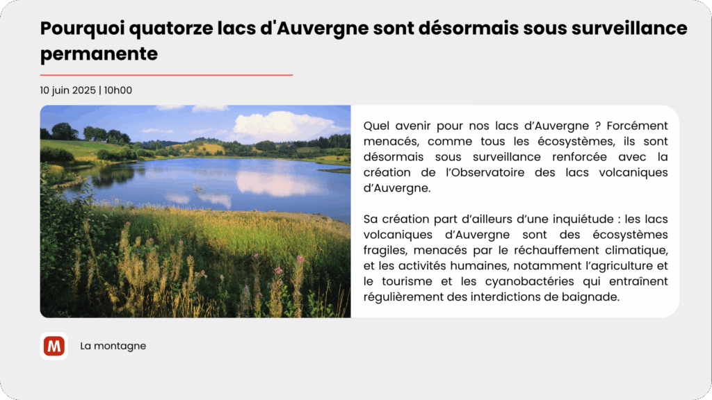 Widget Actualité thème clair