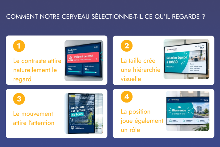 Comment notre cerveau sélectionne-t-il