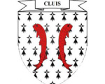 Cluis