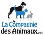 Dynamiser les points de vente avec l'affichage dynamique chez La Compagnie des Animaux